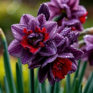 Нарцисс Минт Флер купить по цене от 2000р. в интернет-магазине «Посадика» с доставкой почтой в в Саратове и по всей России – [изображение №1].